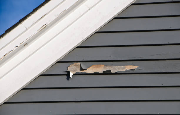 Trusted West Whittier Los Nietos, CA Siding Installation & Repair Experts